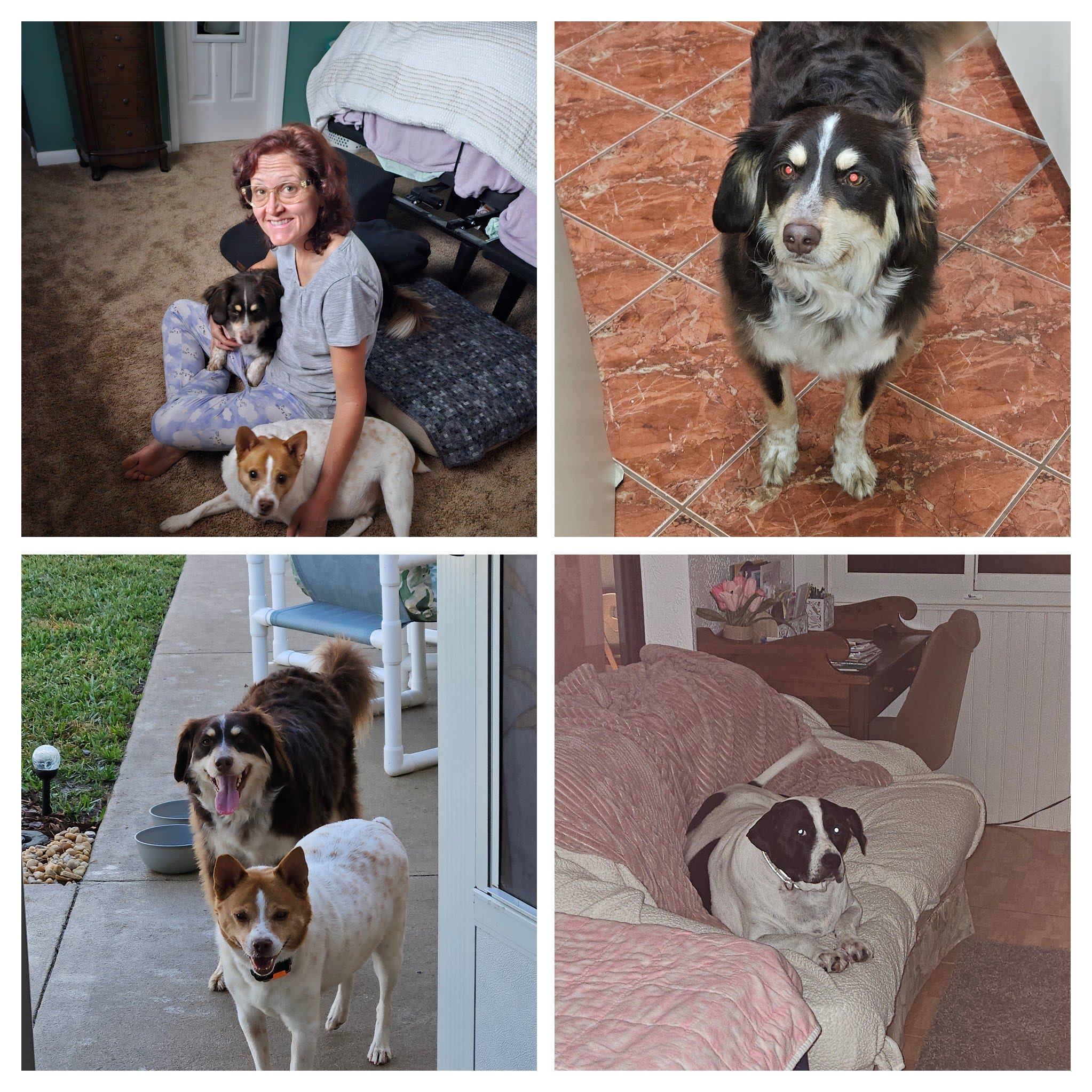Guest Collage 2